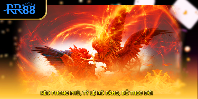 Kèo phong phú, tỷ lệ rõ ràng, dễ theo dõi